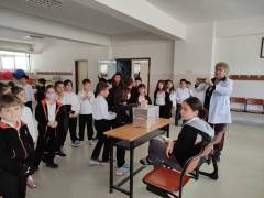 Evrensel Kolej